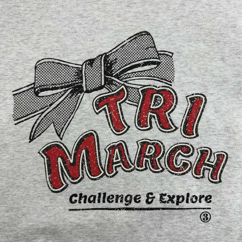 Tri / Retro ribbon sweatshirt / Gray